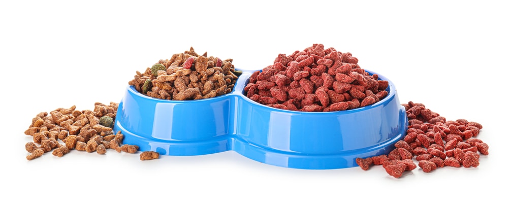 nutrition-for-pets-well-being