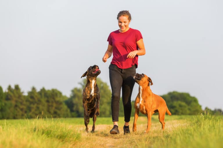 regular-exercise-for-pets