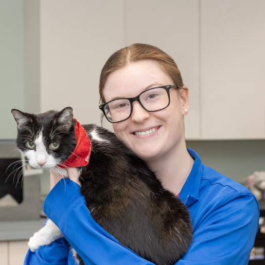 Careers at Old Farm Veterinary Hospital